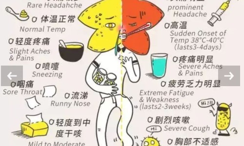 痛风病人能喝茶吗-痛风病人能喝玫瑰花吗网—知名的痛风病人可以喝牛奶吗网站,分享痛风病人能喝白酒吗?知识